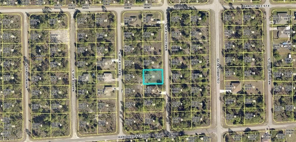 238 Narcissus AVE S LEHIGH ACRES, FL 33974