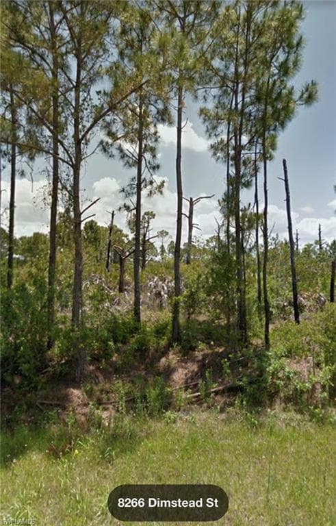 8266 Dimstead ST PORT CHARLOTTE, FL 33981