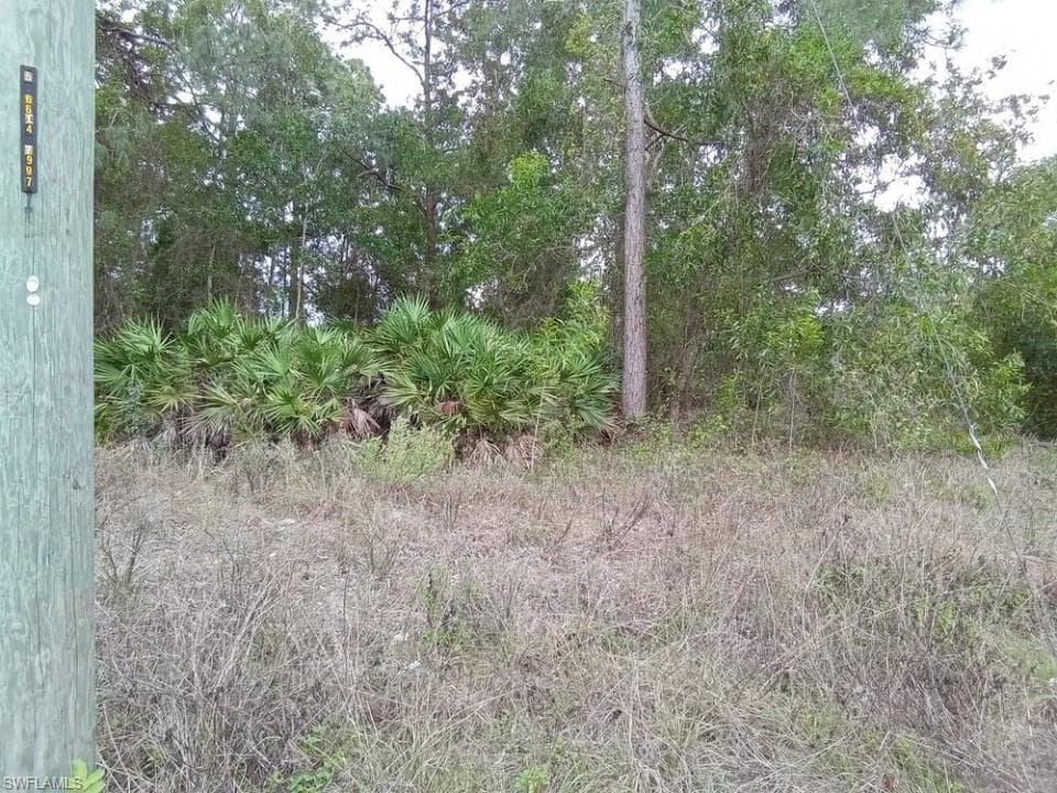 2437-2439 Joe AVE S LEHIGH ACRES, FL 33973