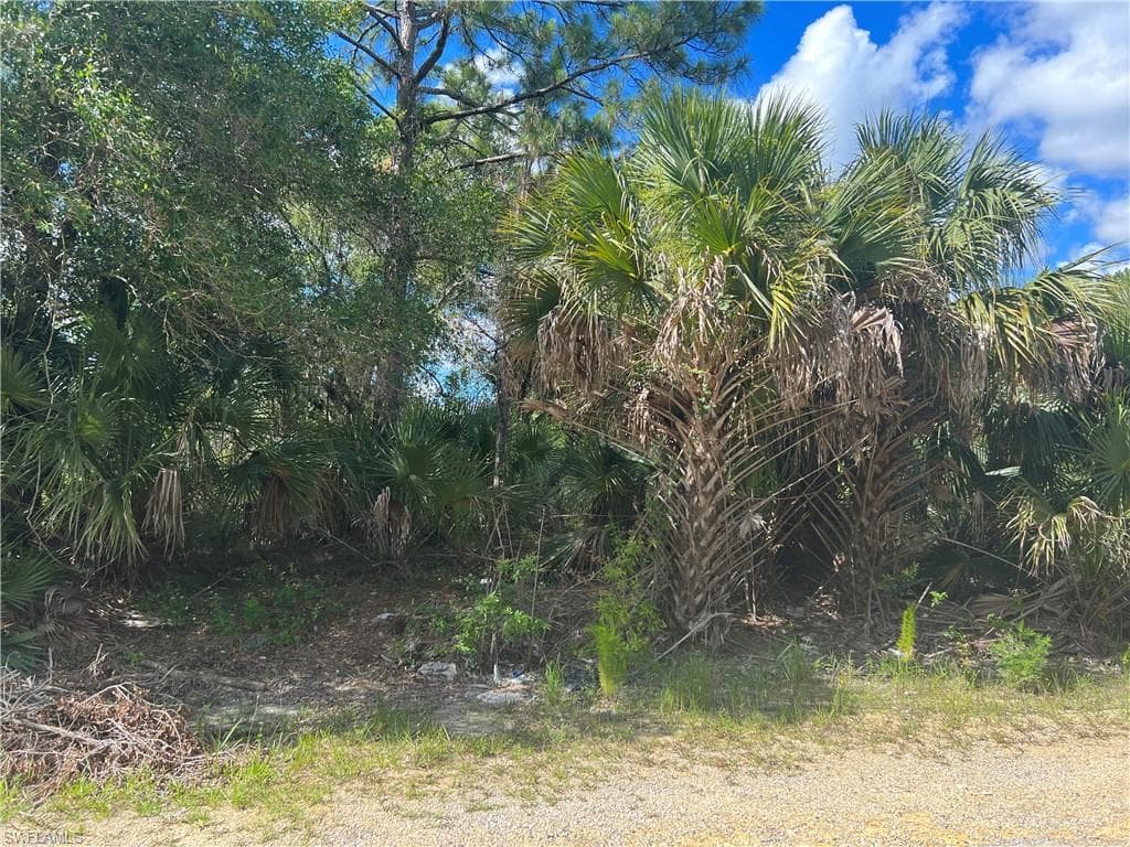 2525 Catron CIR LEHIGH ACRES, FL 33971