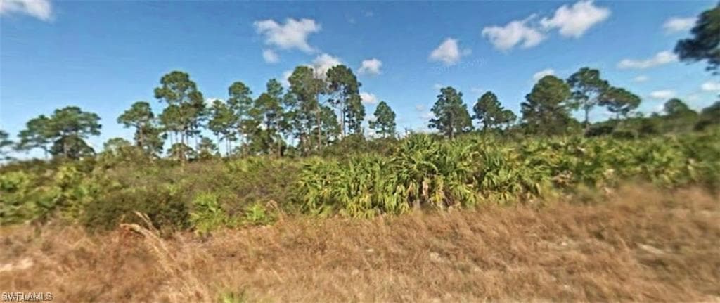 801 W 13th ST LEHIGH ACRES, FL 33972