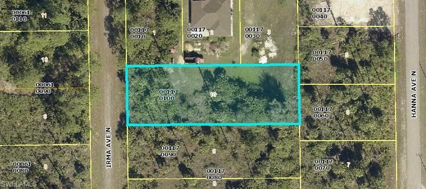 2906 Irma AVE N LEHIGH ACRES, FL 33971