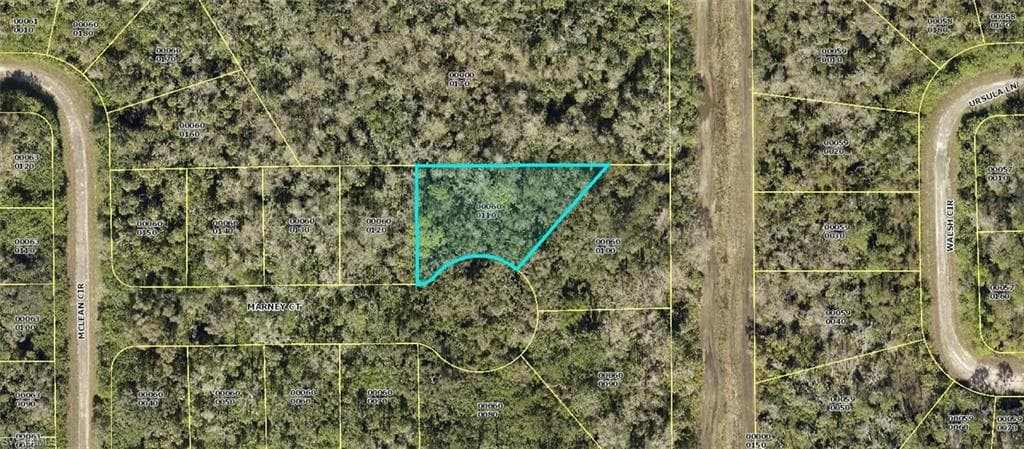 401 Marney CT LEHIGH ACRES, FL 33972