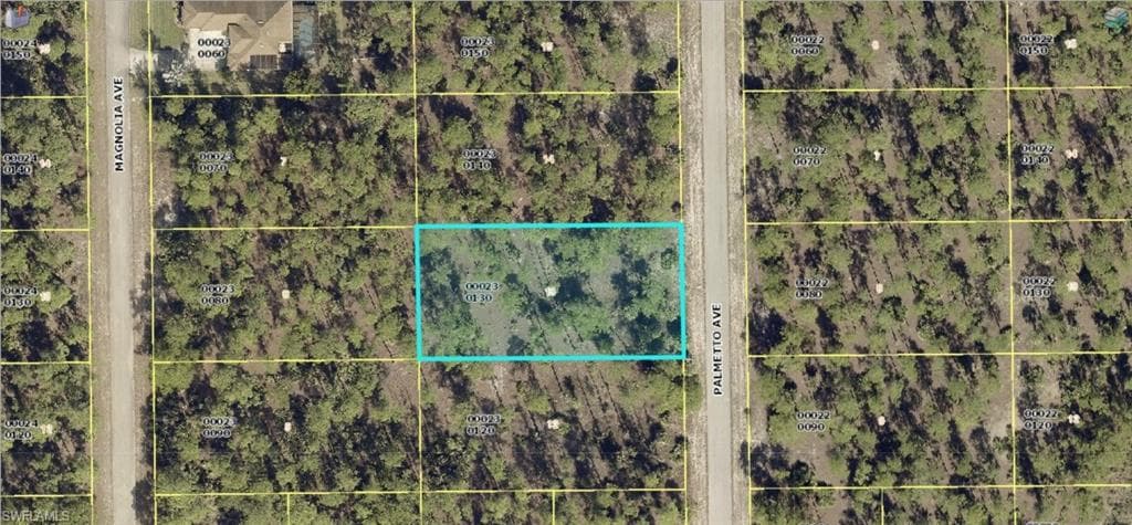 1723 Palmetto AVE LEHIGH ACRES, FL 33972