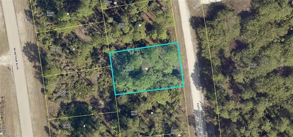552 Cottonwood AVE S LEHIGH ACRES, FL 33974