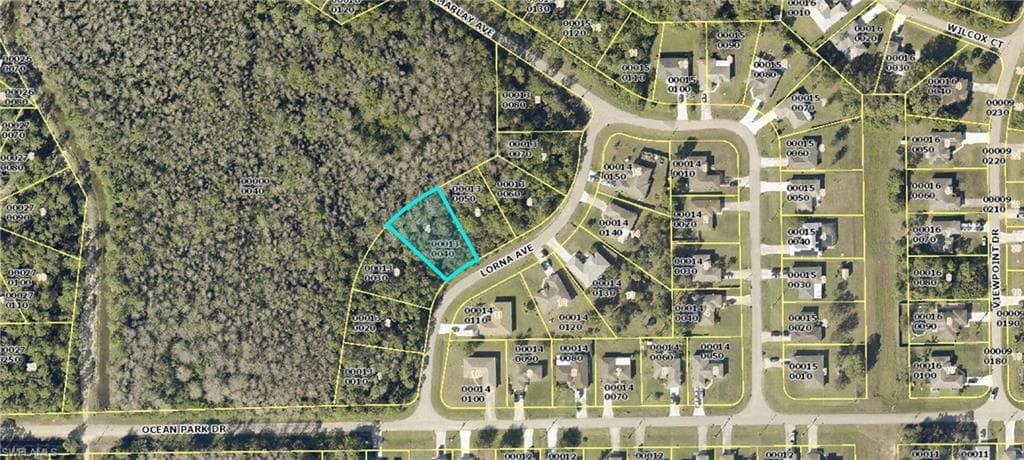 1907 Lorna AVE LEHIGH ACRES, FL 33972
