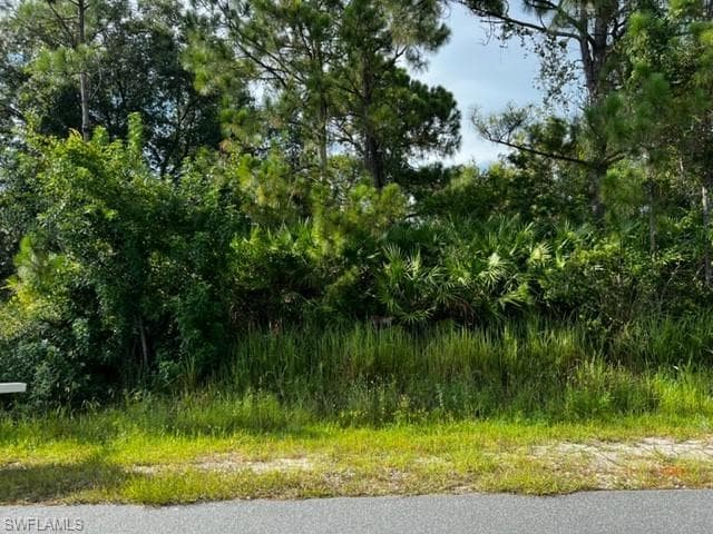 14181 Carlotta ST FORT MYERS, FL 33905