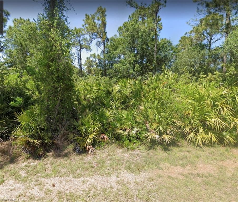 823 Clow ST E LEHIGH ACRES, FL 33974