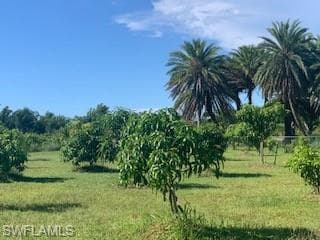 13820 Stringfellow RD BOKEELIA, FL 33922