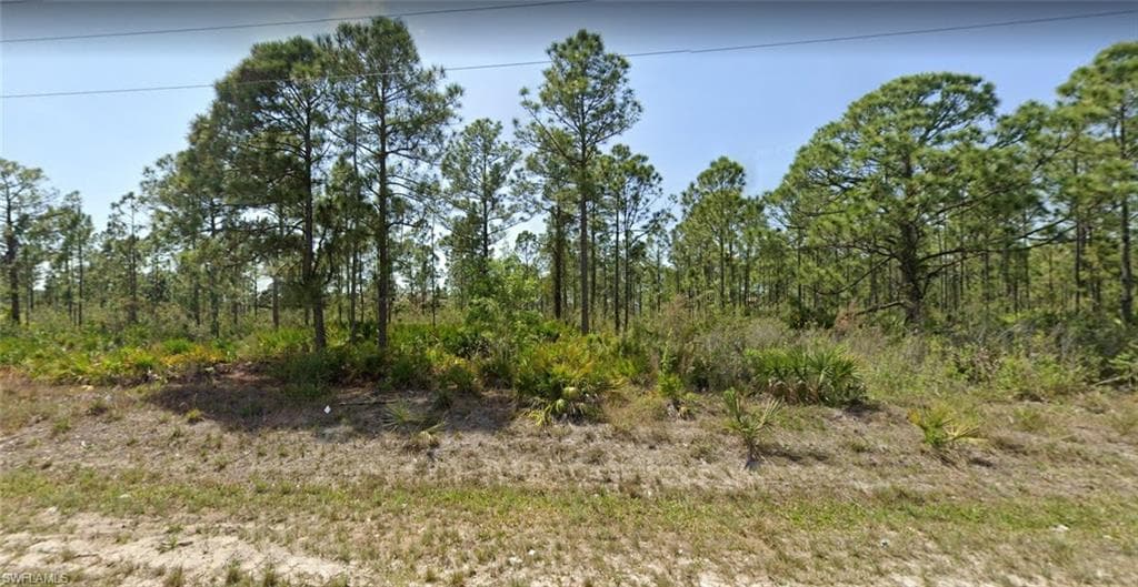 909 Dixie AVE LEHIGH ACRES, FL 33972