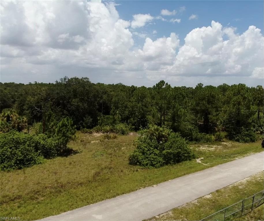 2317 Hines AVE ALVA, FL 33920