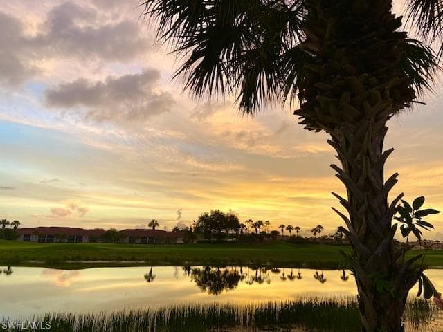 10484 Heritage Bay BLVD W NAPLES, FL 34120