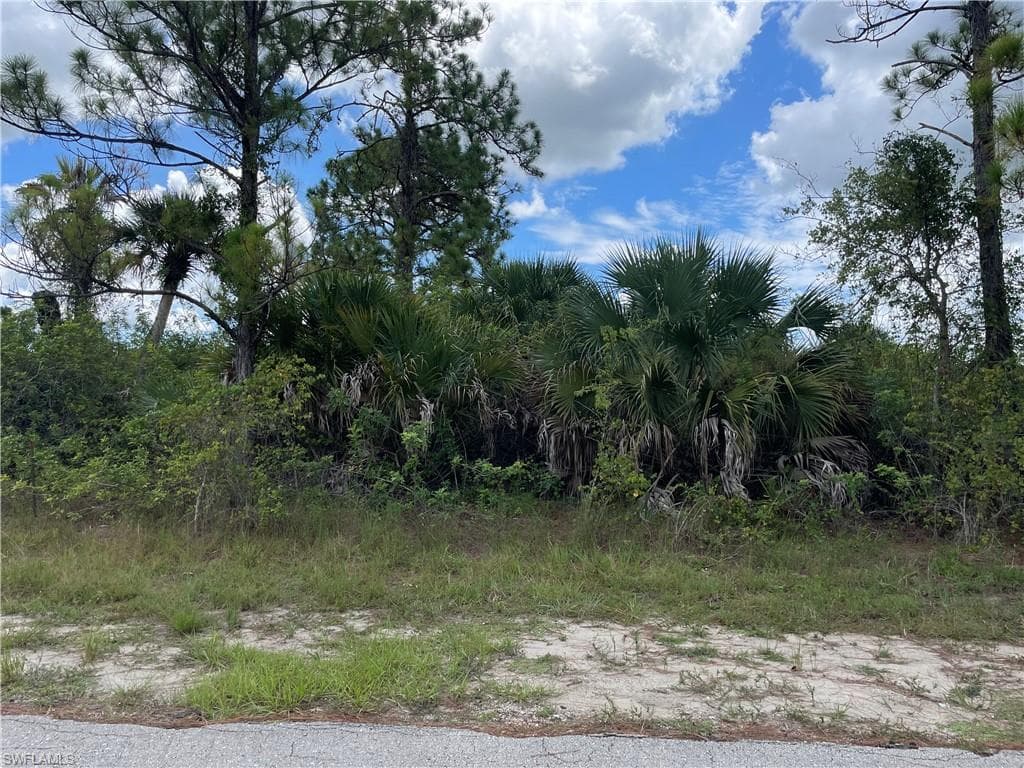 1028 Butler ST E LEHIGH ACRES, FL 33974