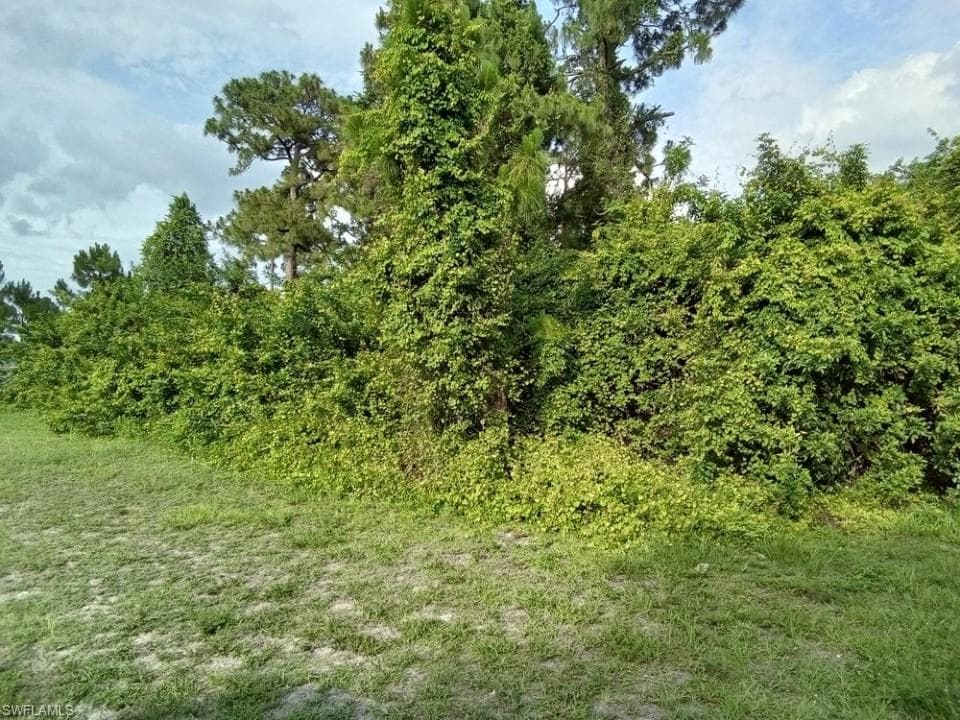5320-5322 29th ST SW LEHIGH ACRES, FL 33973