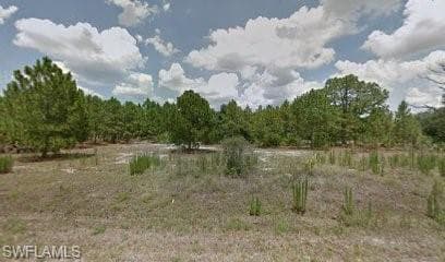 265 Lindero ST CLEWISTON, FL 33440