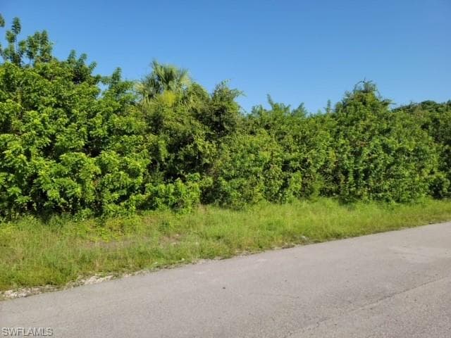 117-119 Hightower AVE S LEHIGH ACRES, FL 33973