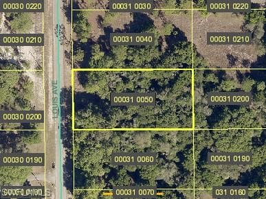 1014 Louis AVE LEHIGH ACRES, FL 33972
