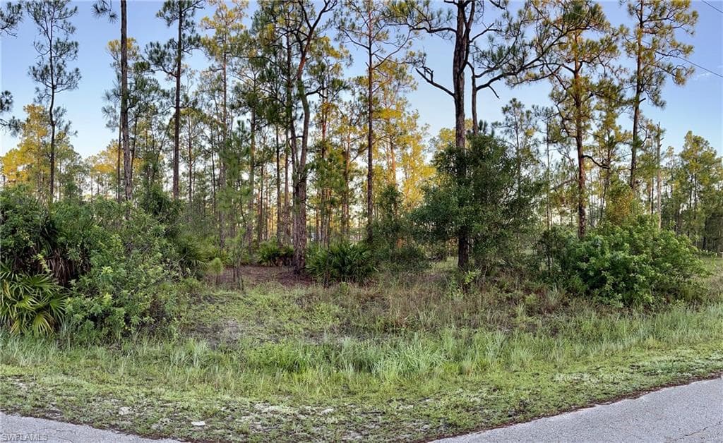 1221 Michael AVE LEHIGH ACRES, FL 33972