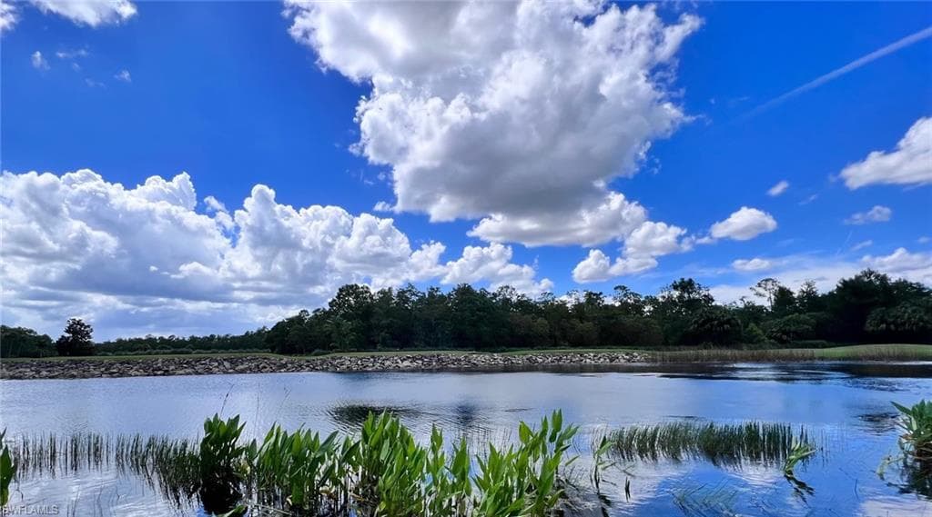8605 Naples Heritage DR 2-213 NAPLES, FL 34112
