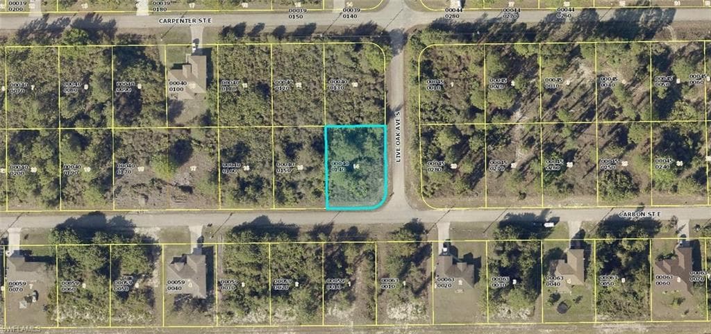 843 Carbon ST E LEHIGH ACRES, FL 33974