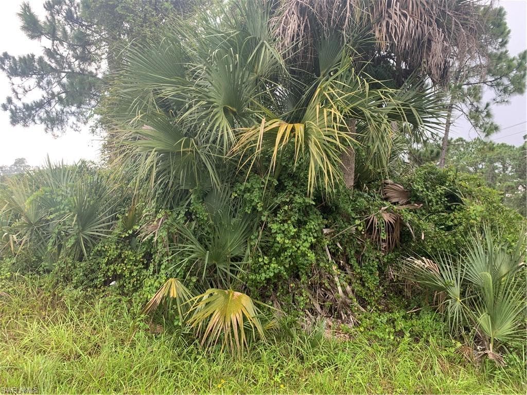 1103 Monroe AVE LEHIGH ACRES, FL 33972