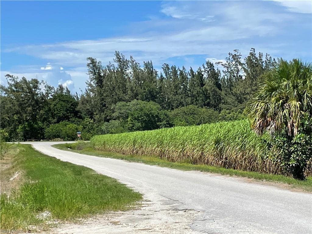 Art Lawrence Road RD CLEWISTON, FL 33440