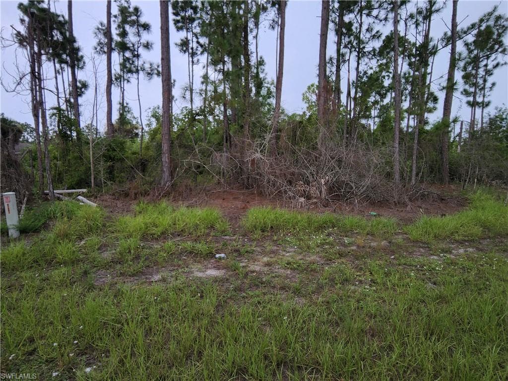 1252 Edgewood ST E LEHIGH ACRES, FL 33974