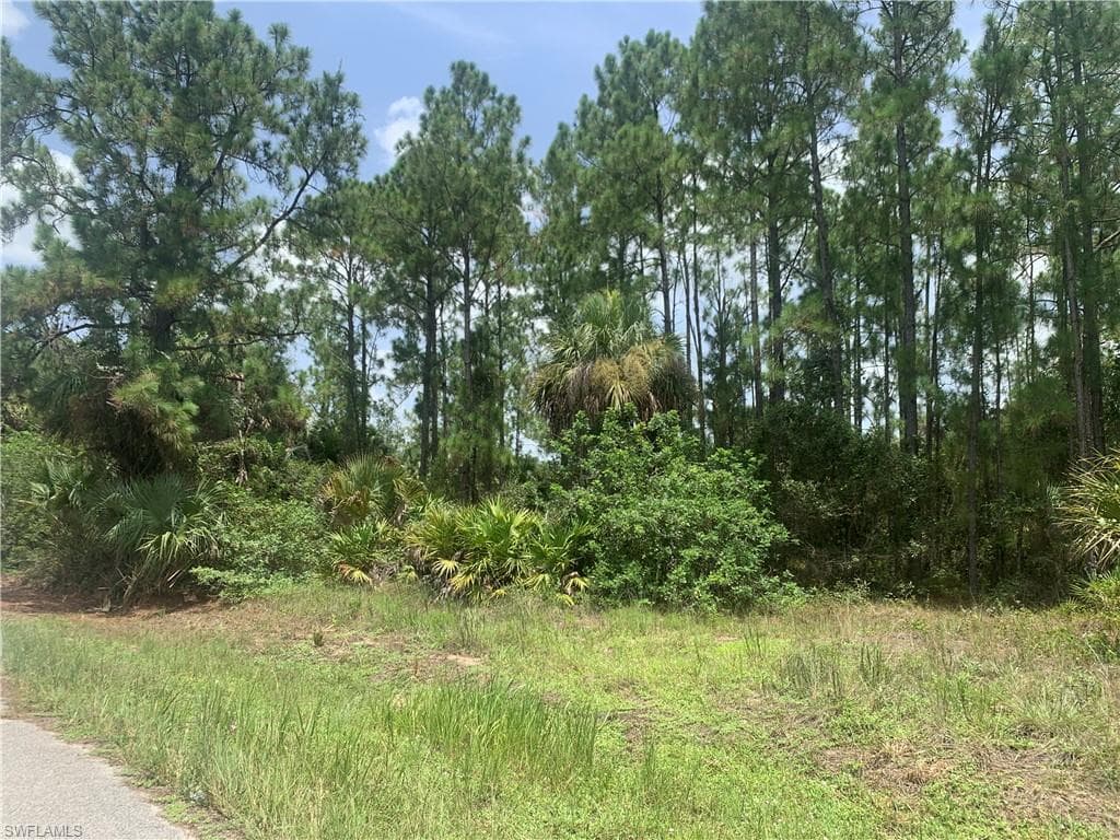 1432 Euclid AVE LEHIGH ACRES, FL 33972