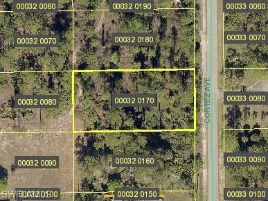 1009 Cortez AVE LEHIGH ACRES, FL 33972