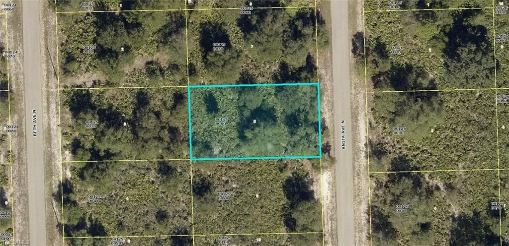 6009 Anita AVE N LEHIGH ACRES, FL 33971