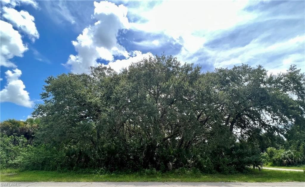 March LN LABELLE, FL 33935