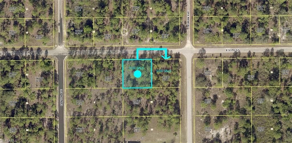 3204 E 13th ST LEHIGH ACRES, FL 33972