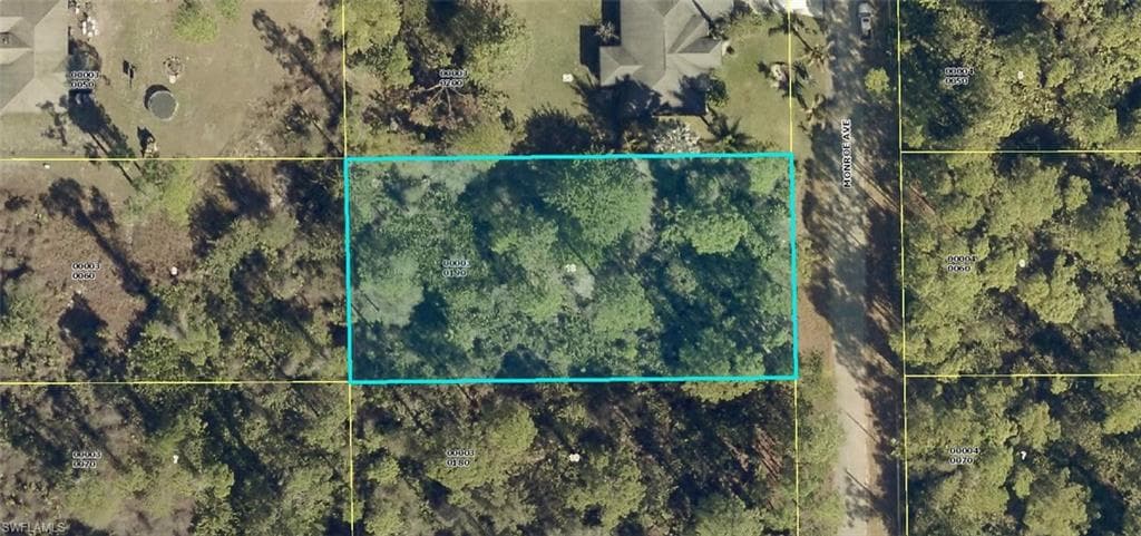 2013 monroe AVE LEHIGH ACRES, FL 33920