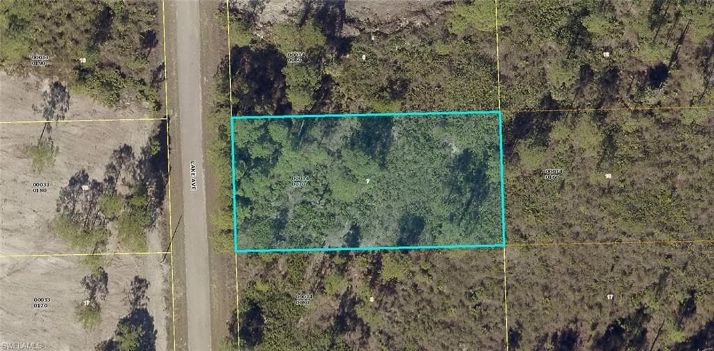 1010 Lake AVE LEHIGH ACRES, FL 33972