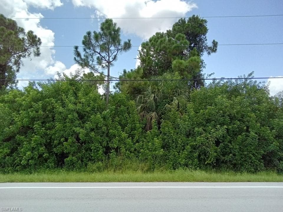 1101 Alvin AVE LEHIGH ACRES, FL 33971