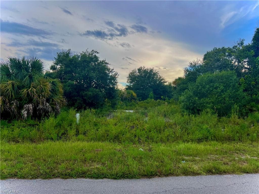 326 Pinehurst AVE LEHIGH ACRES, FL 33974