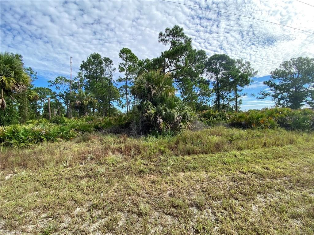 1215 Cellini ST E LEHIGH ACRES, FL 33974