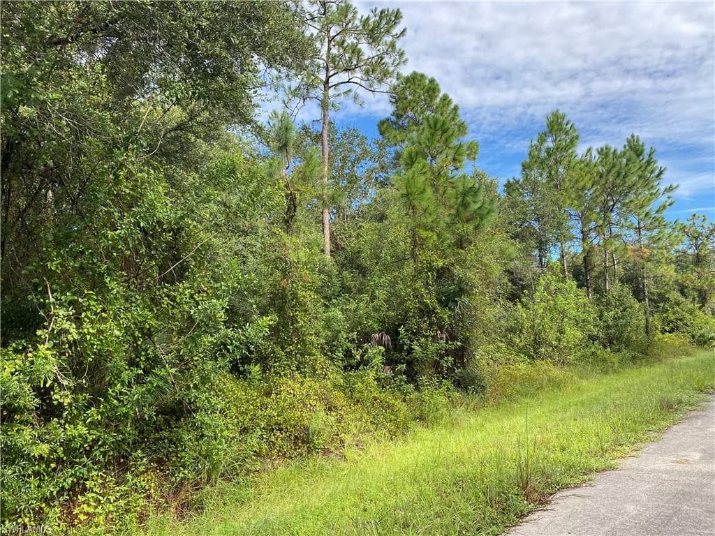 1517 Lincoln AVE LEHIGH ACRES, FL 33972