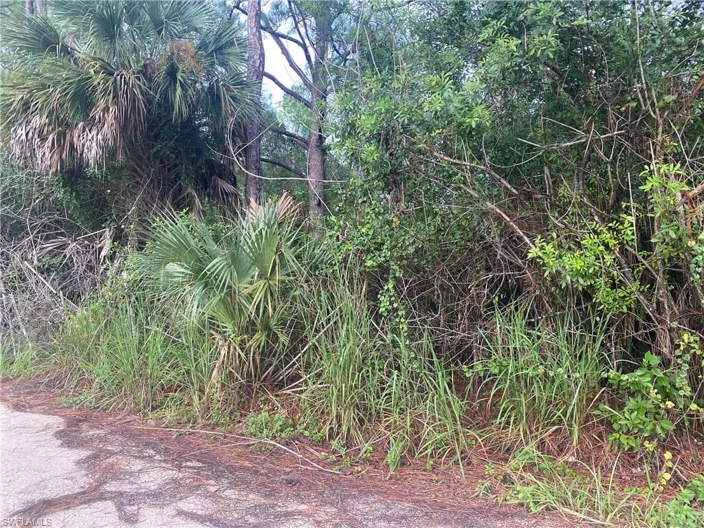 1910 Blue Sage DR NAPLES, FL 34117