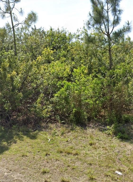 2805 Flora AVE N LEHIGH ACRES, FL 33971