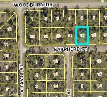 338 Sapphire ST LEHIGH ACRES, FL 33972