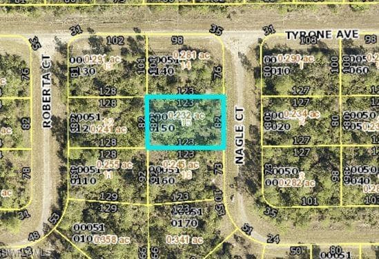 313 Nagle CT LEHIGH ACRES, FL 33972