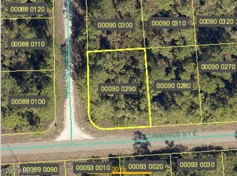 1233 Cumming ST E LEHIGH ACRES, FL 33974