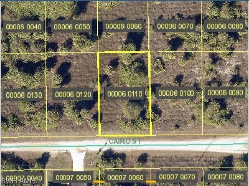737 Cairo ST LEHIGH ACRES, FL 33974