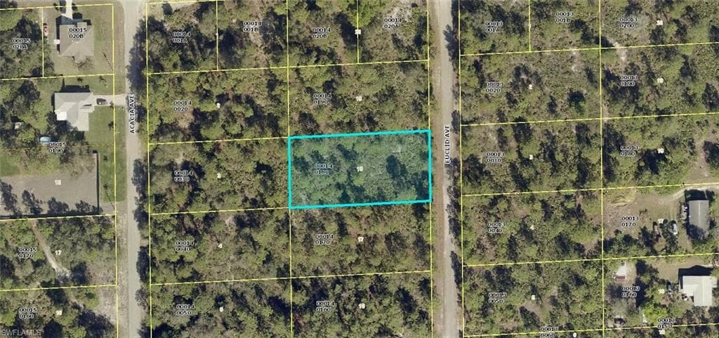 1715 Euclid AVE LEHIGH ACRES, FL 33972