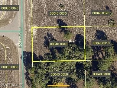 1133 Holly AVE LEHIGH ACRES, FL 33974