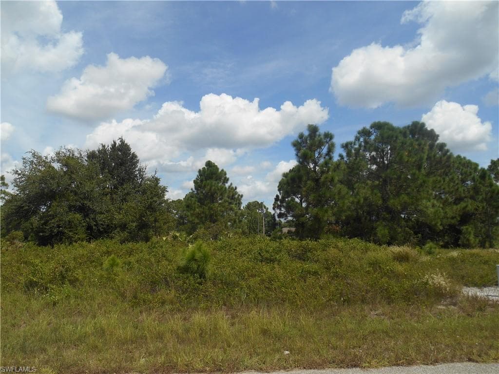 1031 Plymouth ST E LEHIGH ACRES, FL 33974