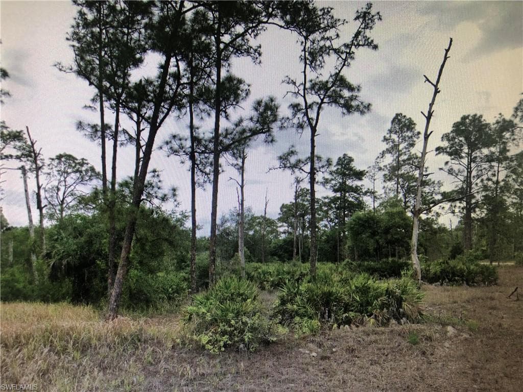 1402 Sheldon AVE LEHIGH ACRES, FL 33972