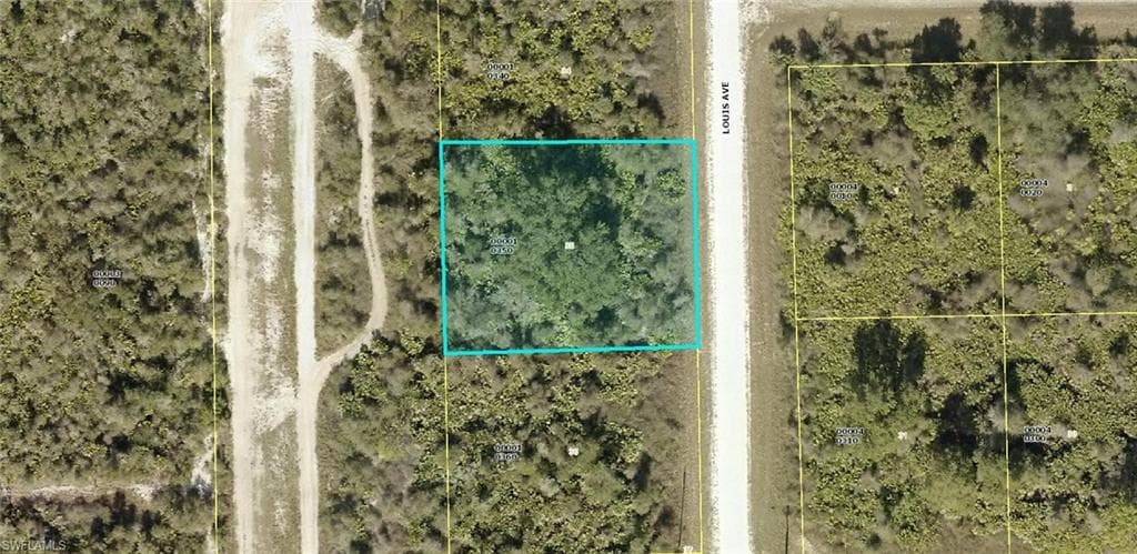 2803 Louis AVE E ALVA, FL 33920