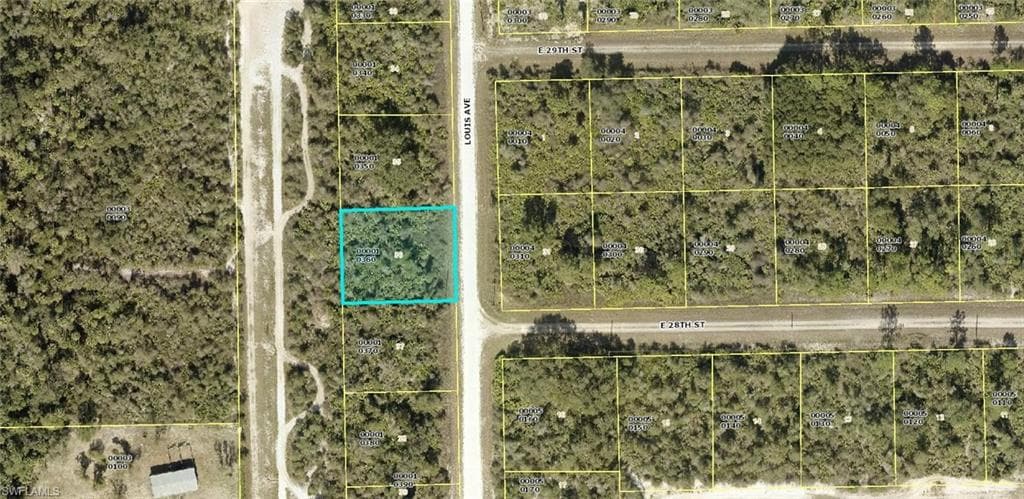 2801 E Louis AVE ALVA, FL 33920